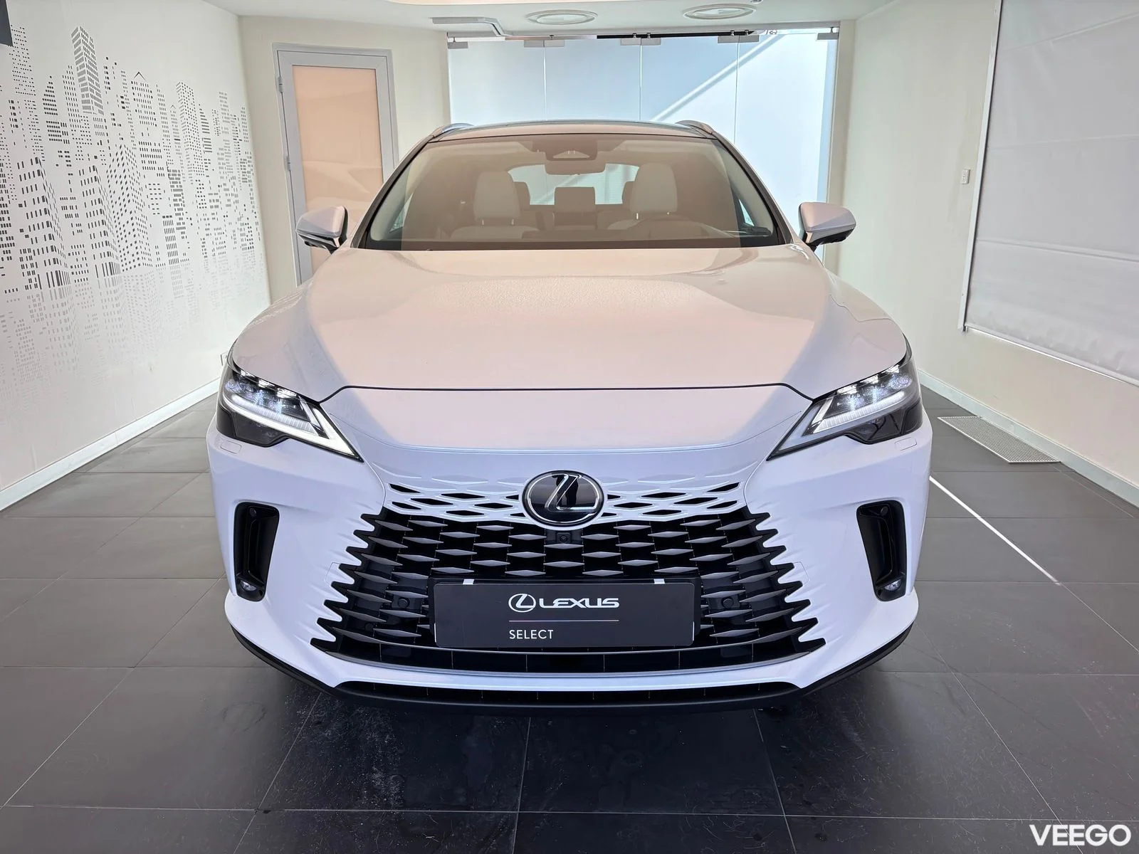 Lexus RX 450h+ - 225kW