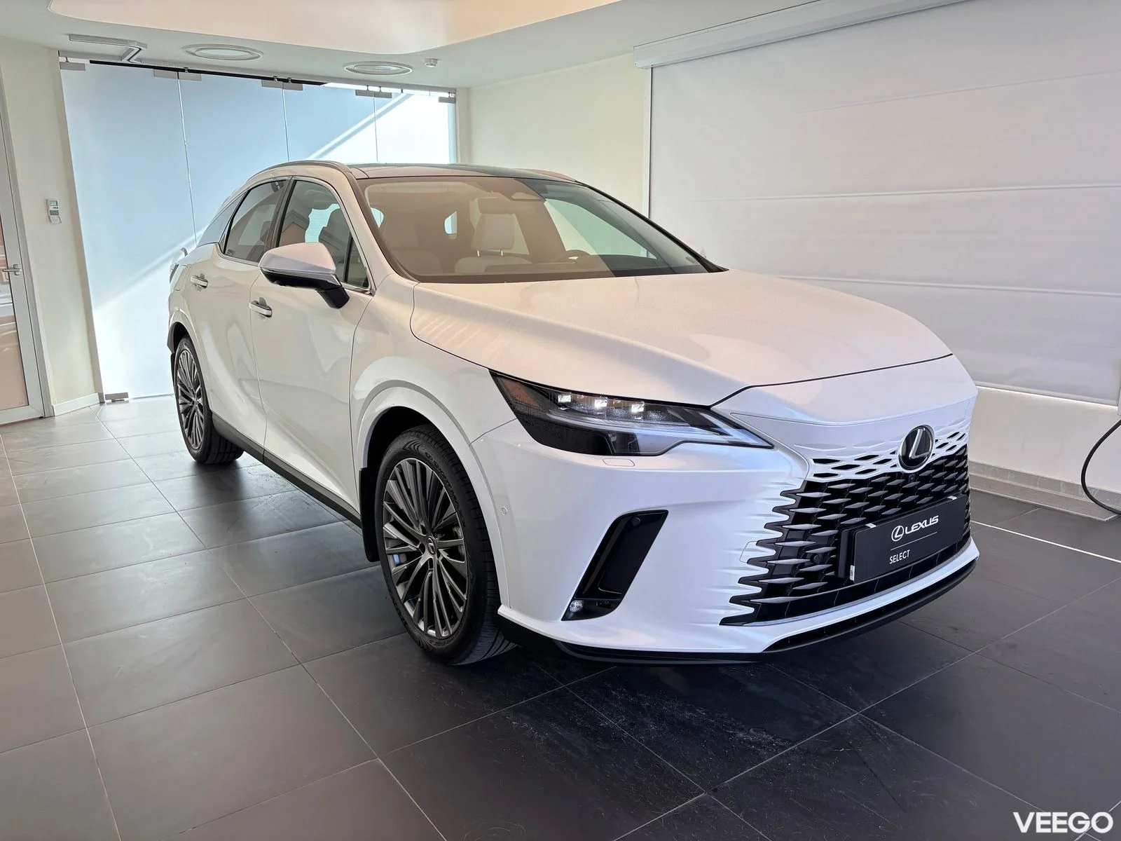 Lexus RX 450h+ - 225kW