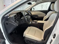 Lexus RX 450h+ - 225kW