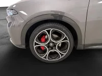 Alfa Romeo Tonale Hybrid 160HK Edizione Speciale /B-Kamera 118kW