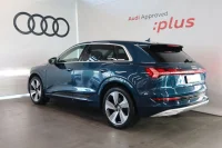 Audi e-tron 55 158kW thumbnail