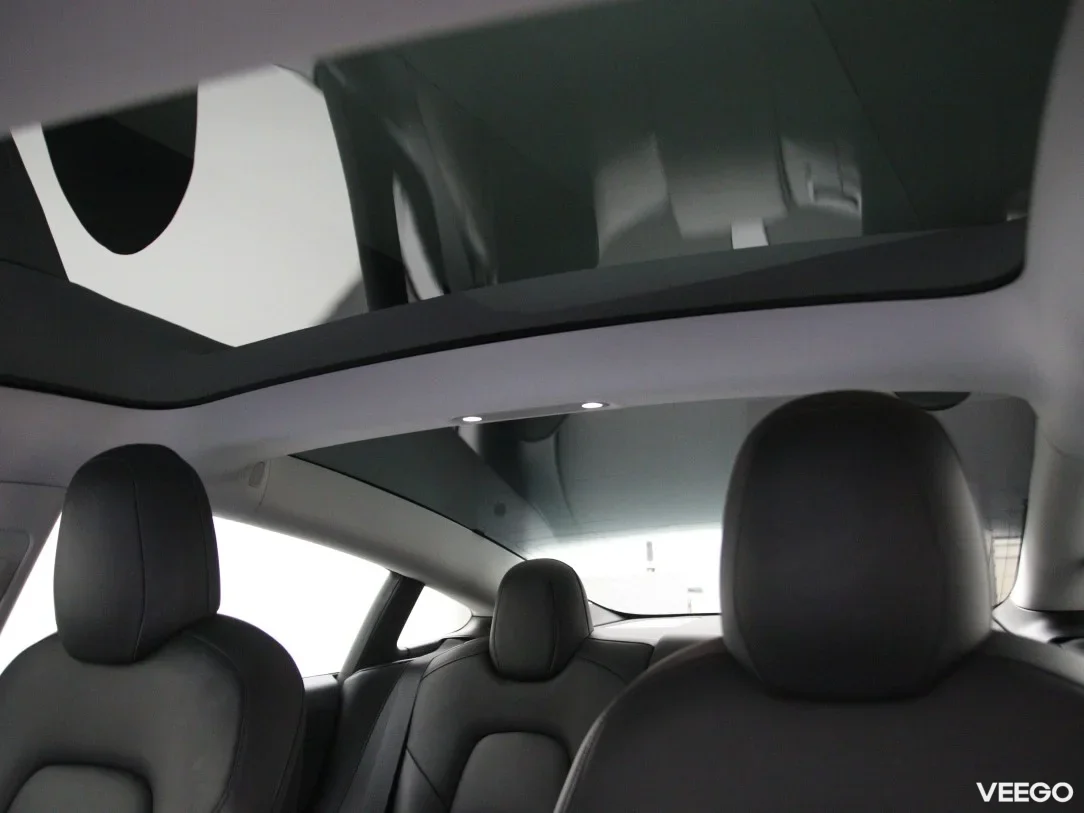 Tesla Model 3 0 175kW