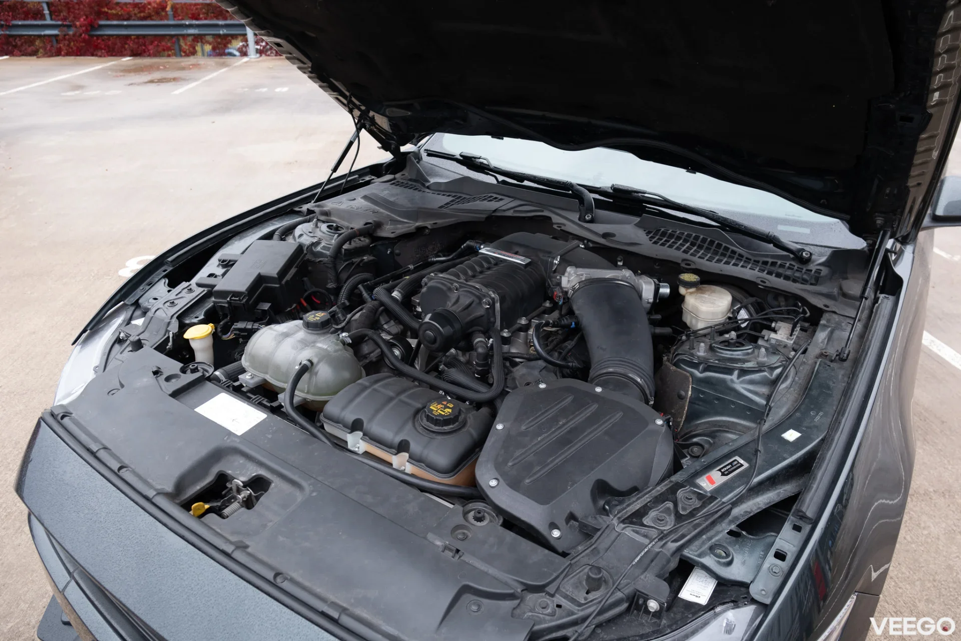 Ford Mustang 5.0 324kW