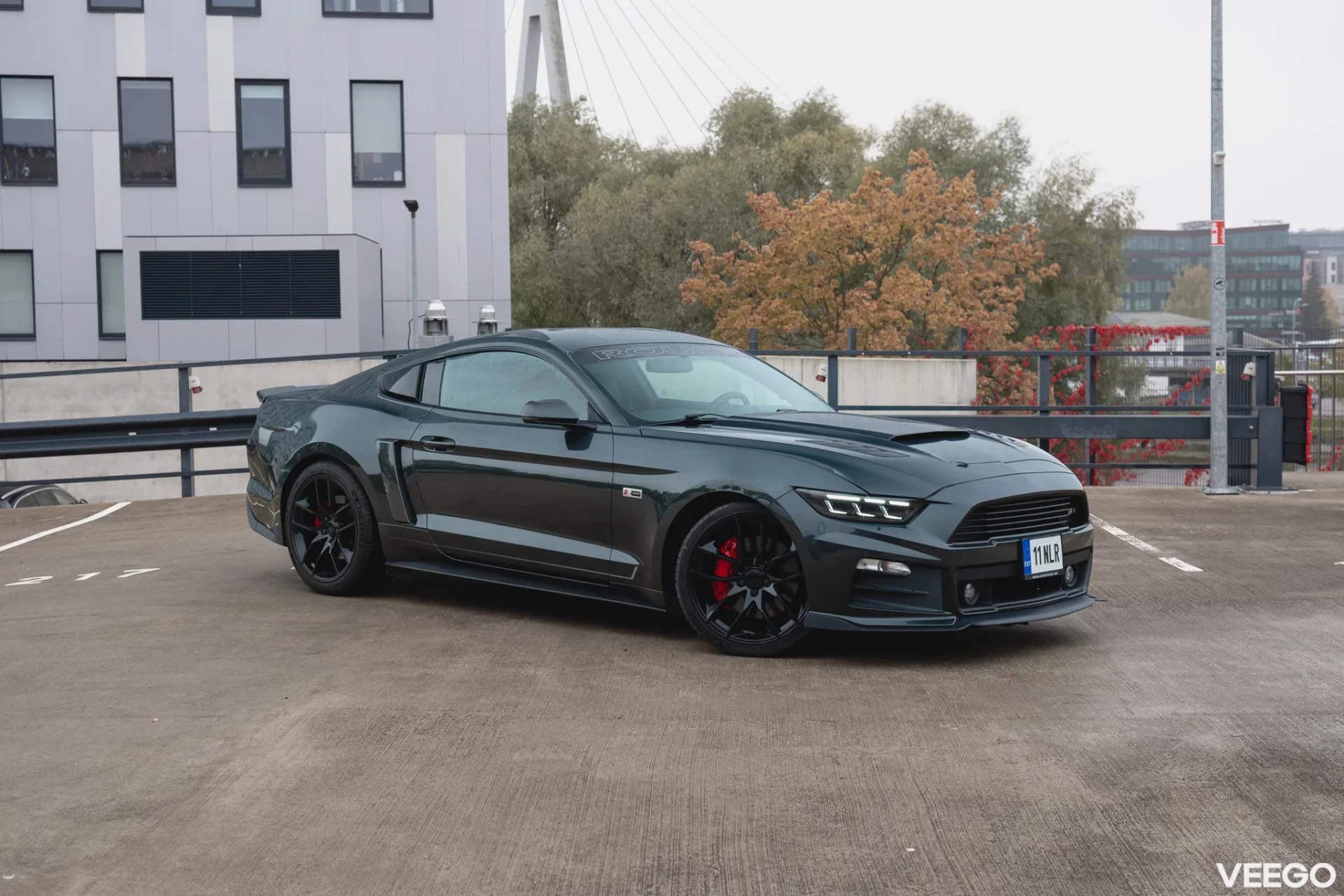Ford Mustang 5.0 324kW