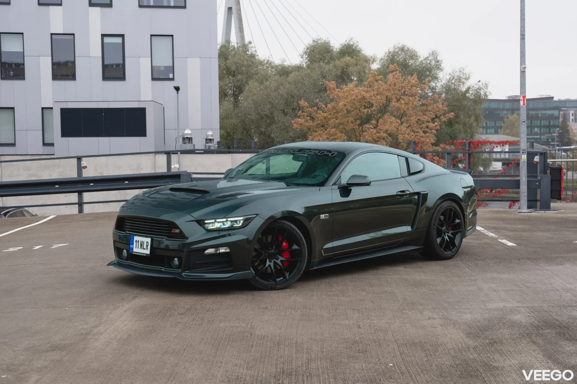Ford Mustang 5.0 324kW