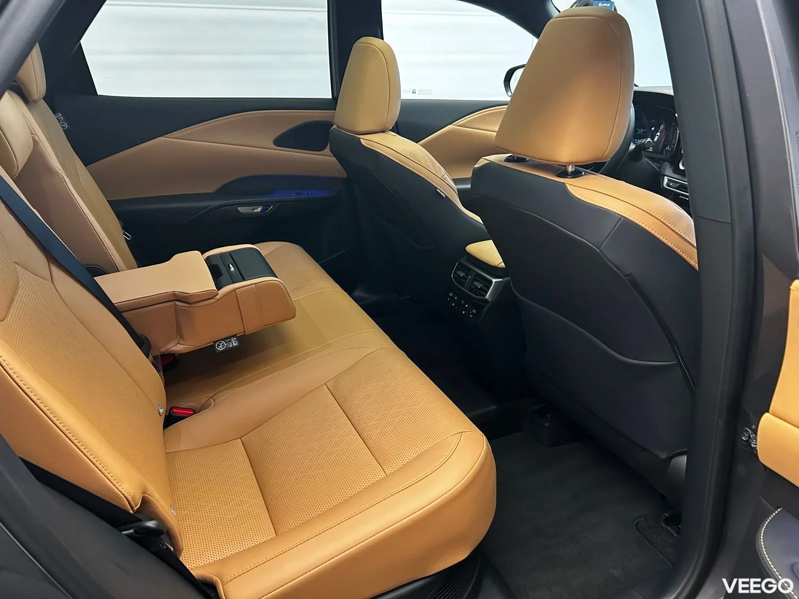 Lexus RX 450h+ - 136kW