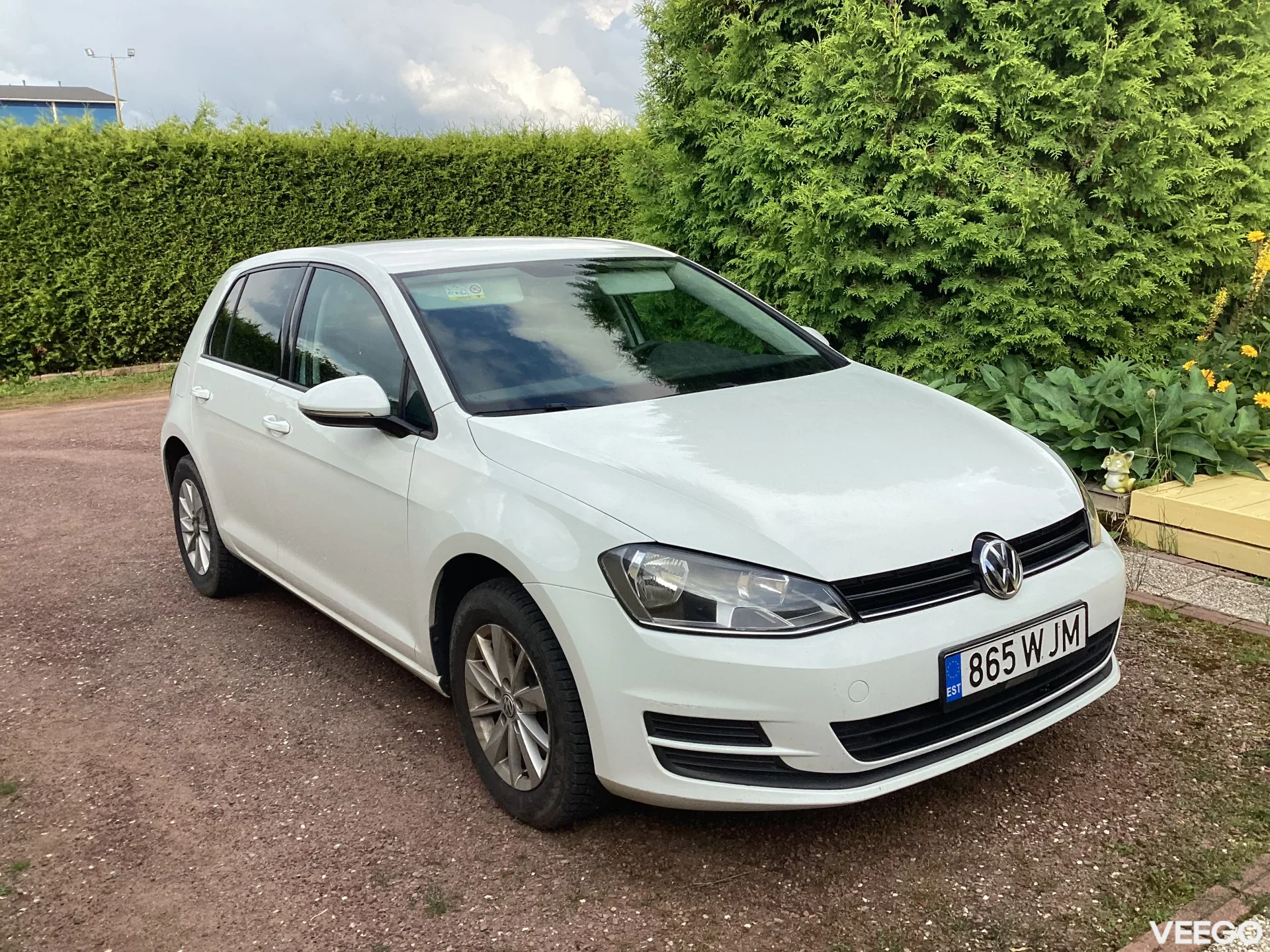 Volkswagen Golf 1,6DTI 1.6 81kW