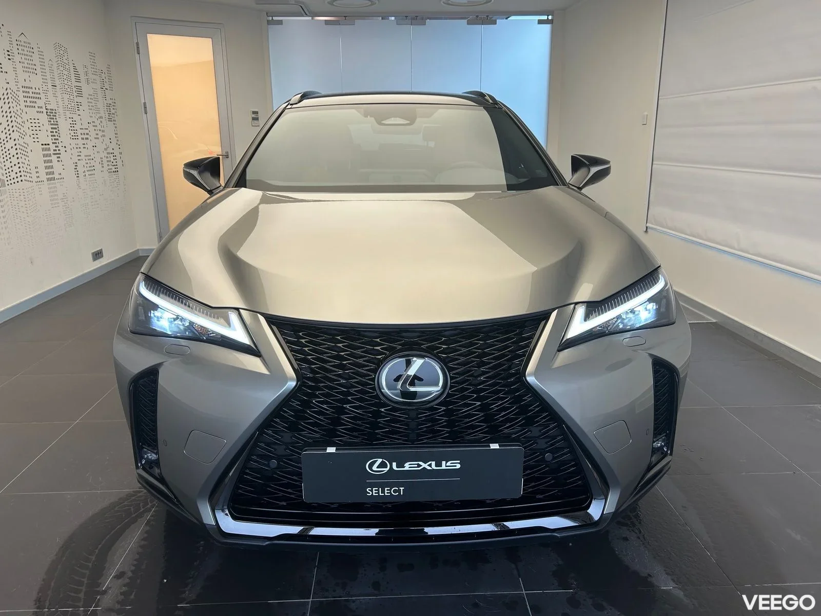 Lexus UX 300h - 112kW