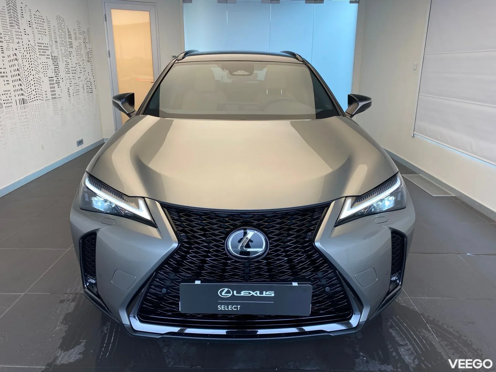 Lexus UX 300h - 112kW