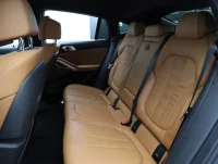 BMW X6 M-Sportpakett 250kW thumbnail