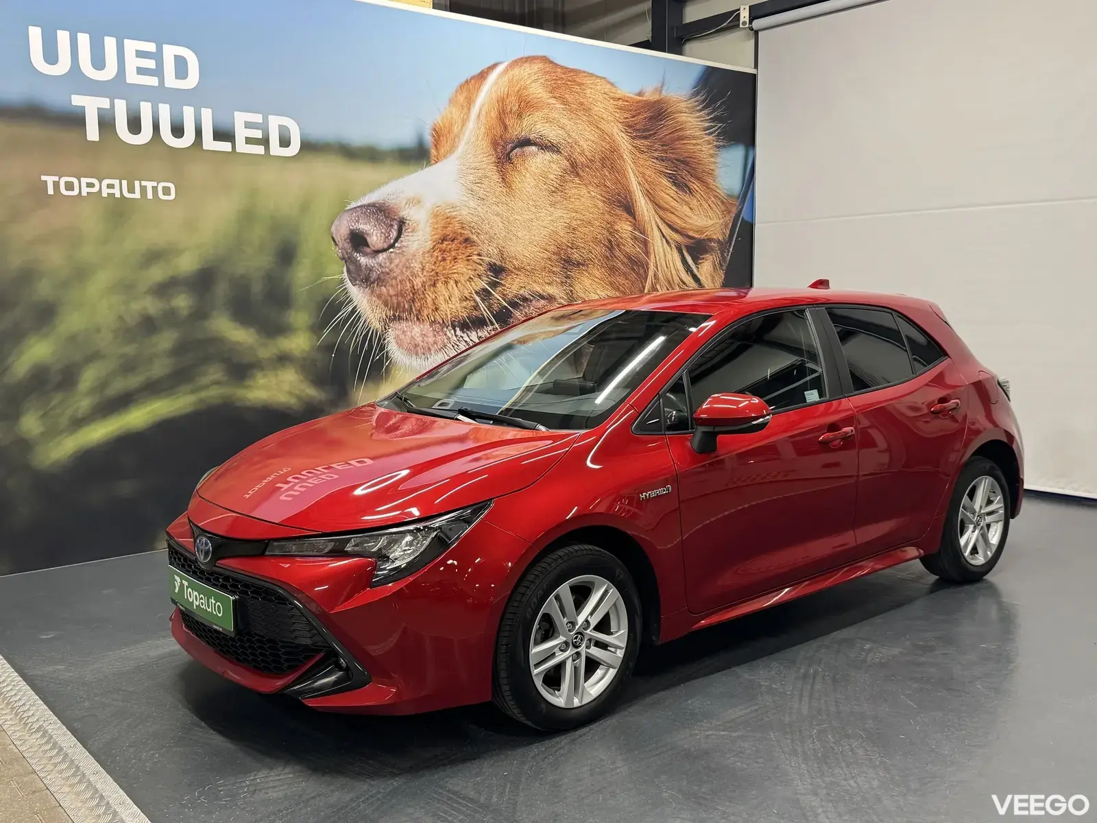 Vehicle Image
