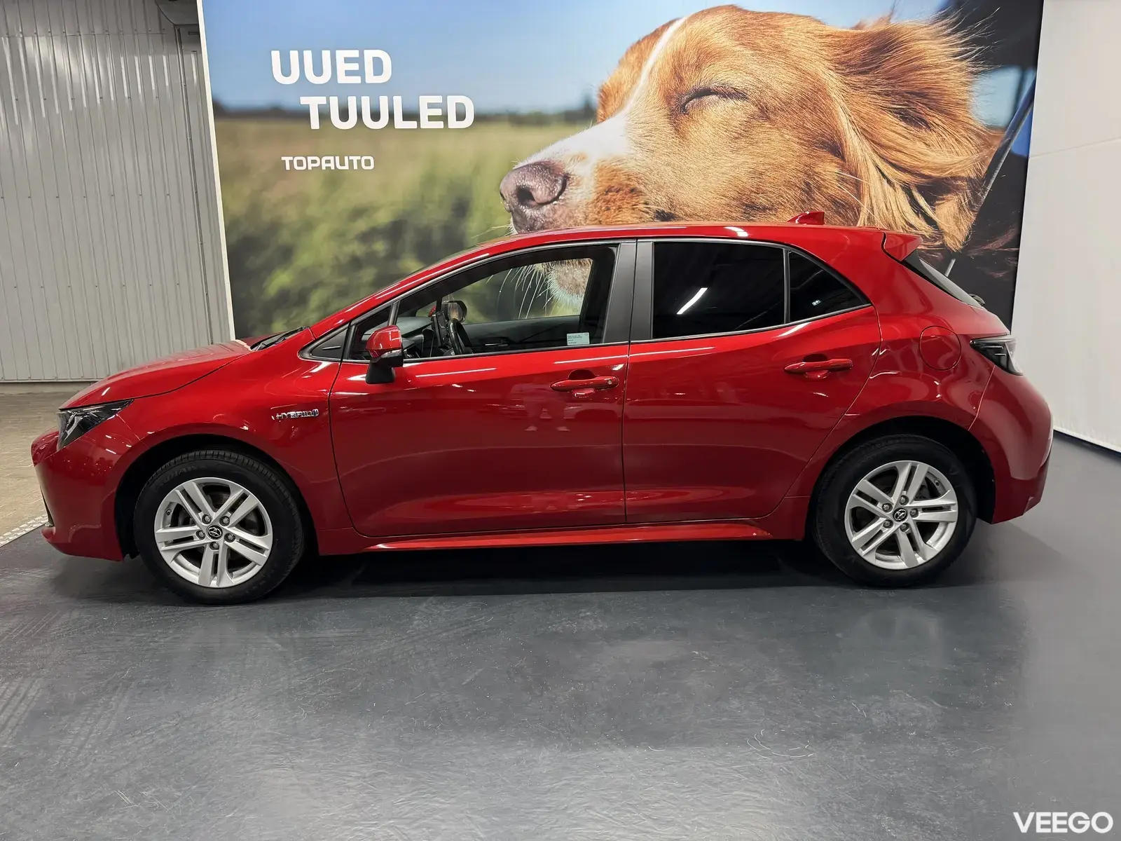 Vehicle Image