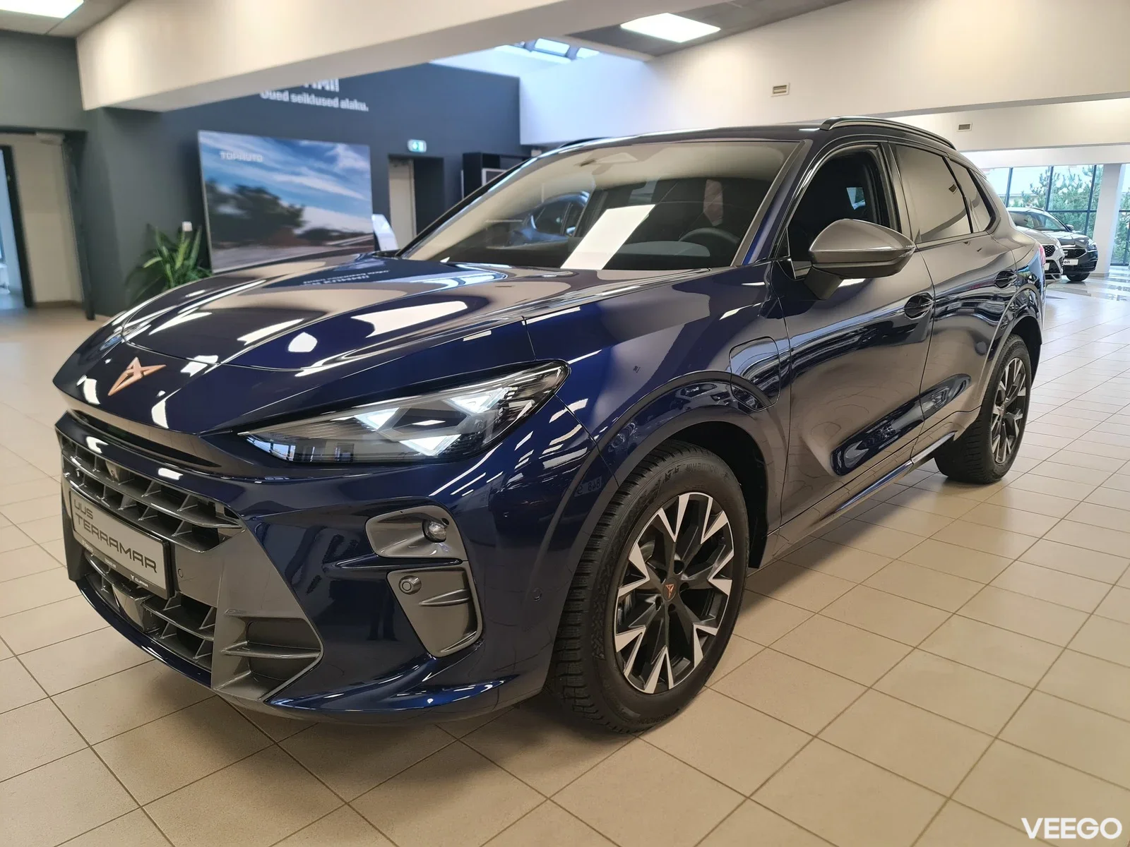 Cupra Terramar 1.5 150kW