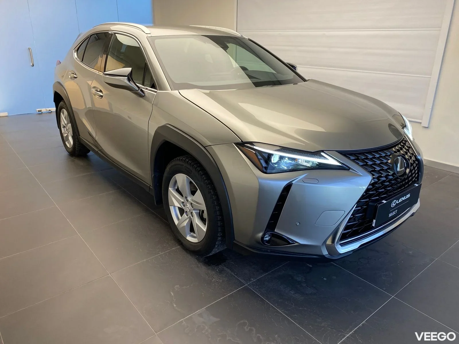 Lexus UX 250h - 132kW