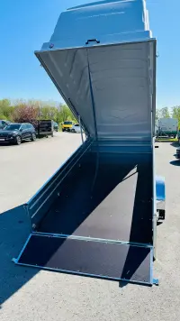 Tiki Treiler 300-LH 3.0x1.5 kaanega haagis thumbnail