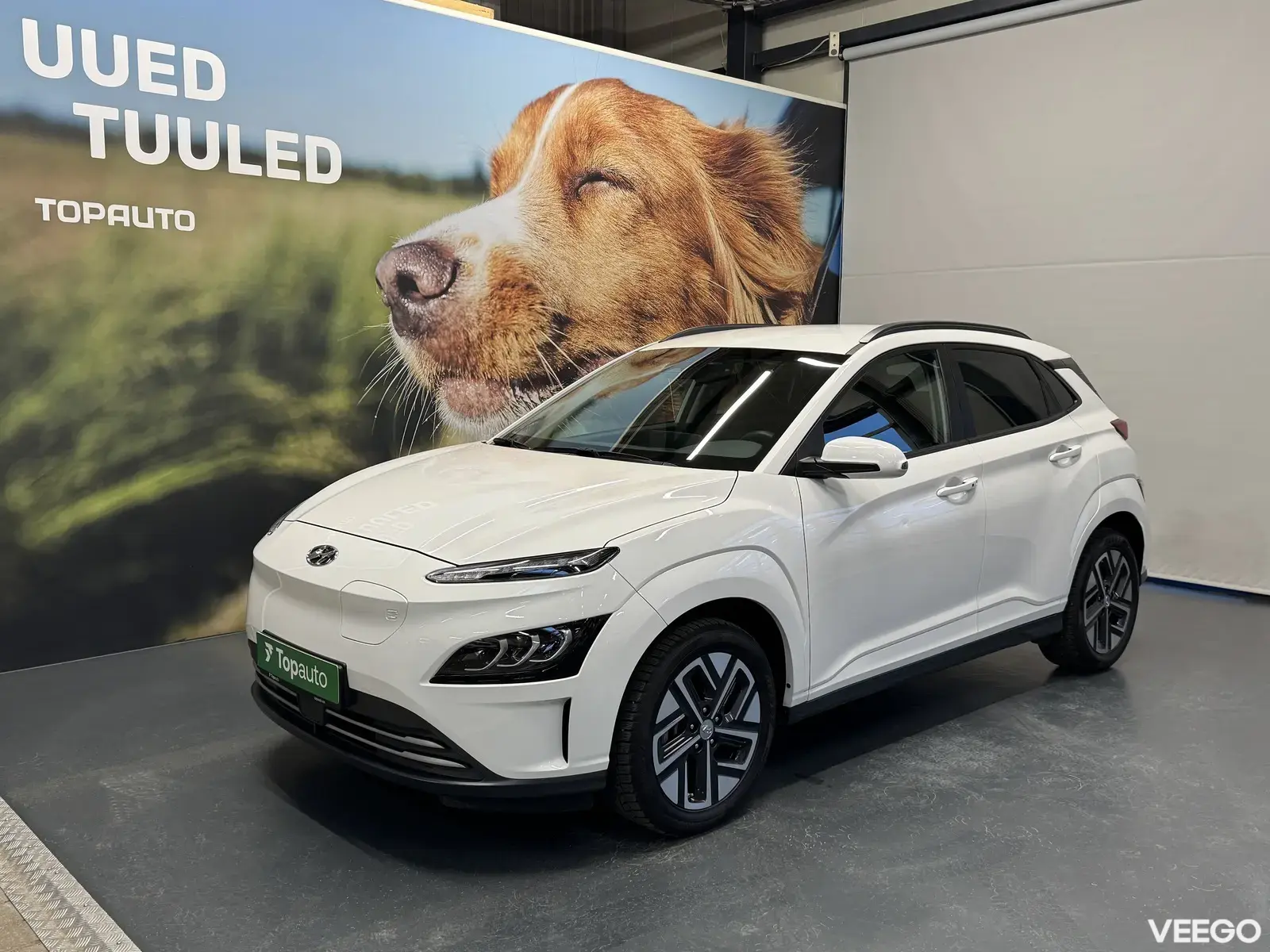 Hyundai Kona 26kW
