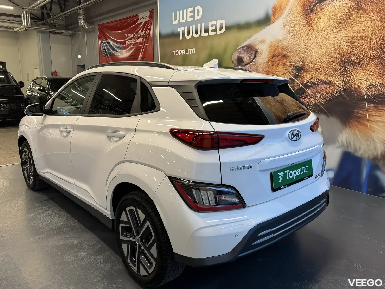 Hyundai Kona 26kW