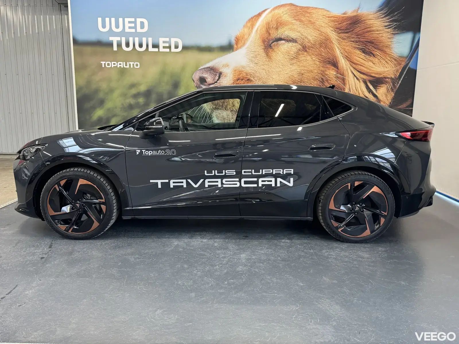 Cupra Tavascan 77kW