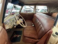 Dodge D13 Betty Boop Restomod 5.9 V8 5.9 132kW thumbnail