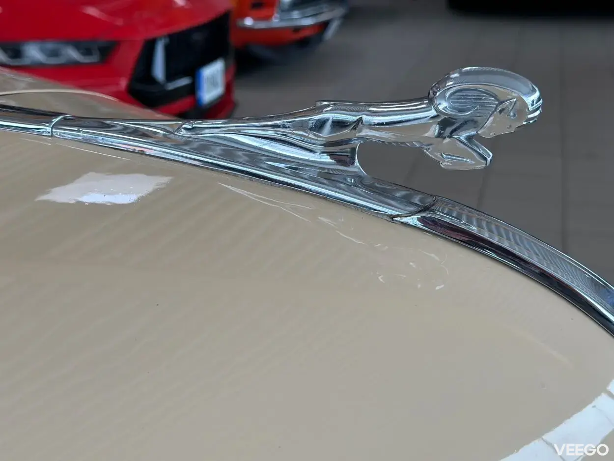 Dodge D13 Betty Boop Restomod 5.9 V8 5.9 132kW