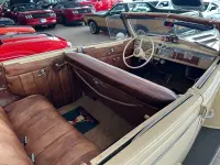 Dodge D13 Betty Boop Restomod 5.9 V8 5.9 132kW thumbnail