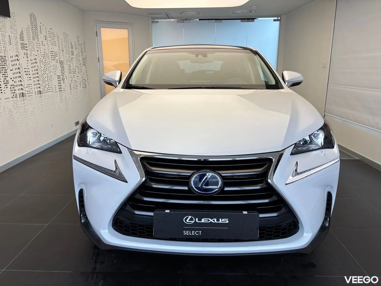 Lexus NX 300h - 114kW