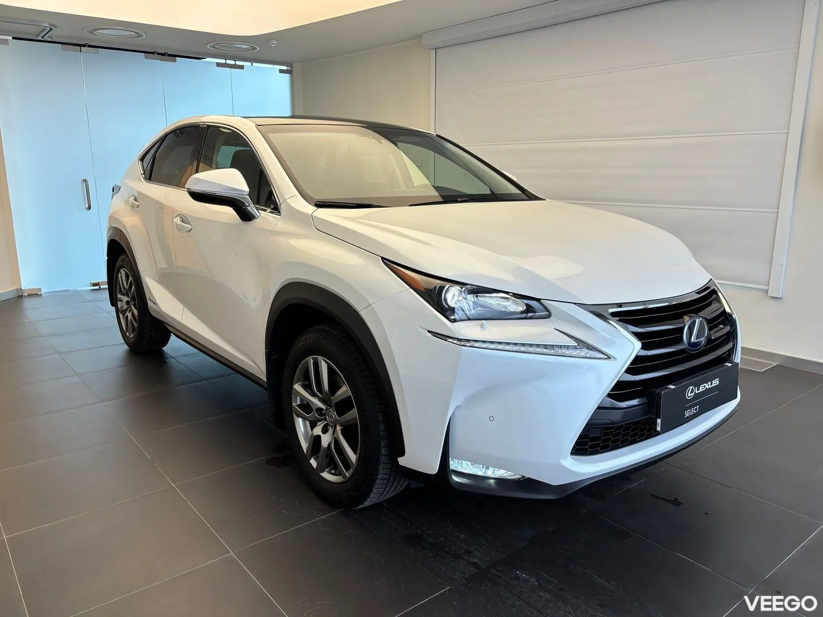 Lexus NX 300h - 114kW