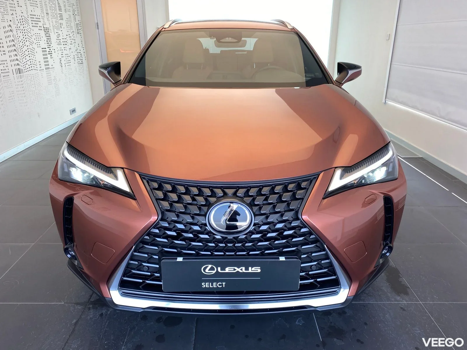 Lexus UX 200 300e 57kW