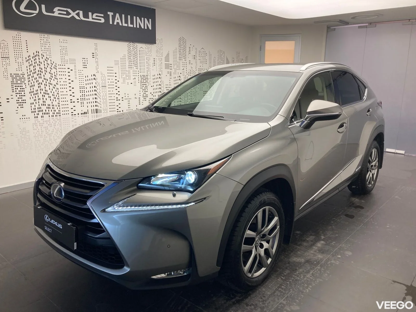Lexus NX 300h - 114kW