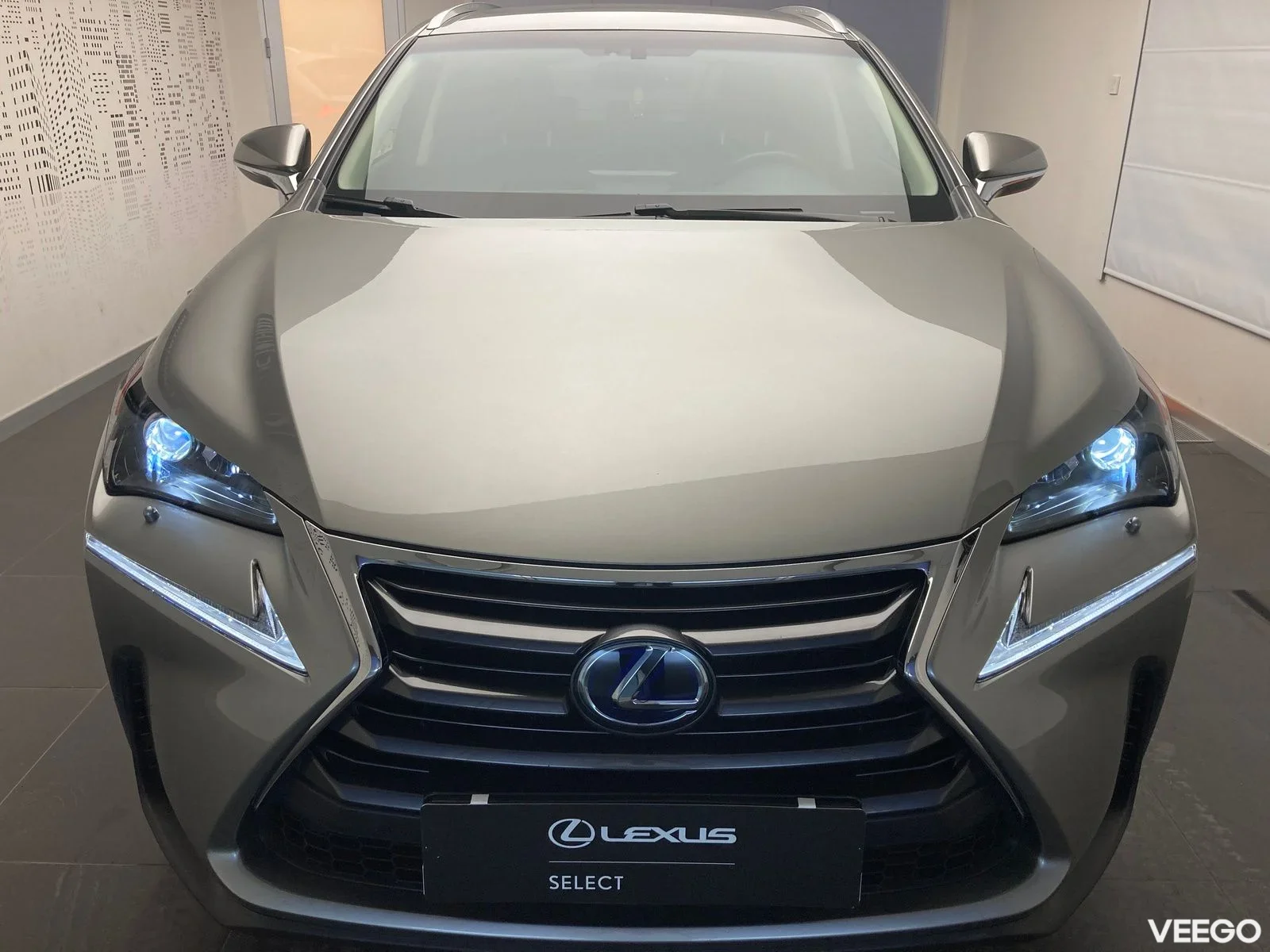 Lexus NX 300h - 114kW