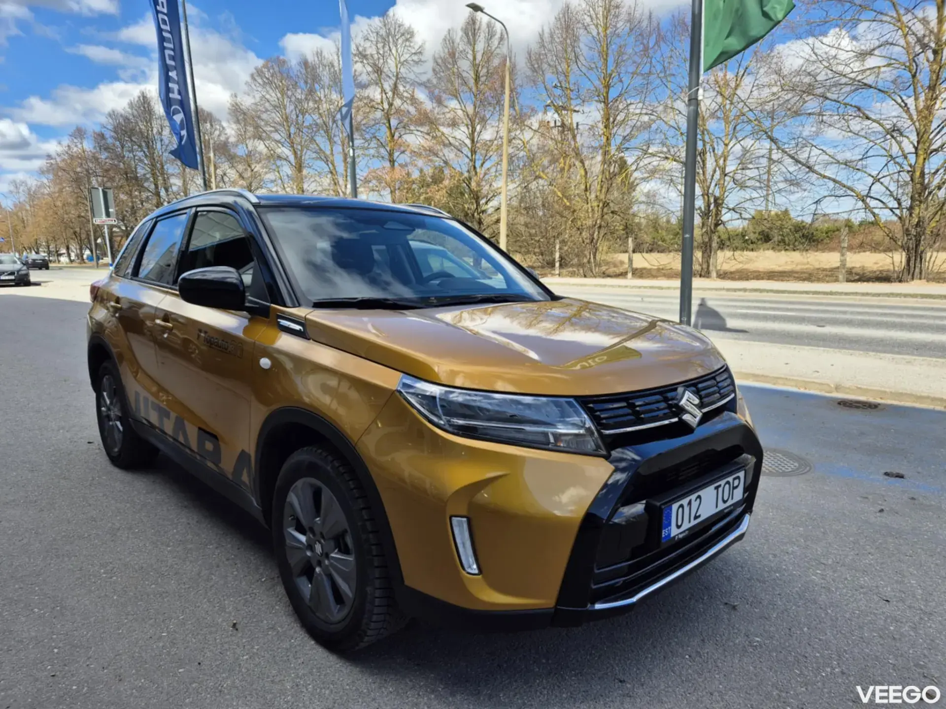 Vehicle Image