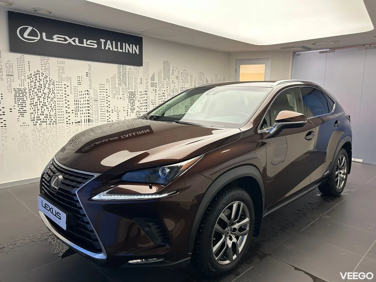 Lexus NX 300h - 114kW
