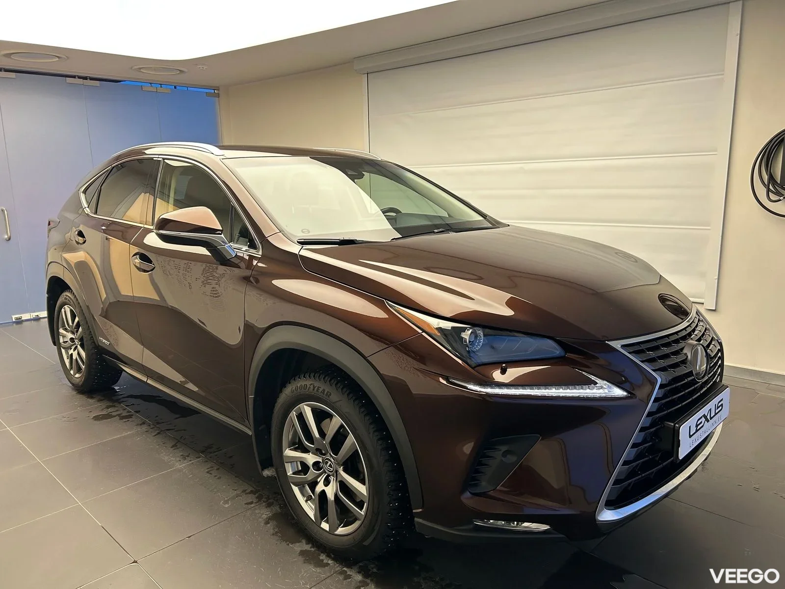 Lexus NX 300h - 114kW