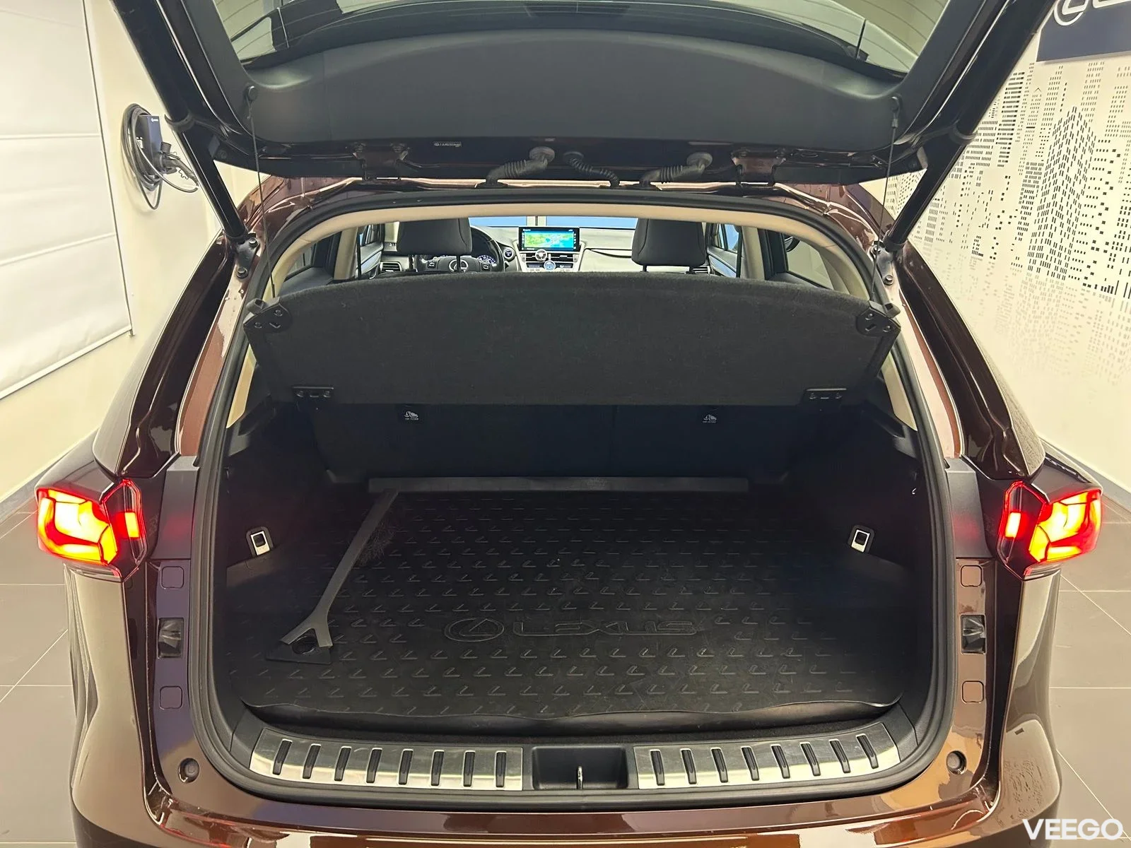 Lexus NX 300h - 114kW