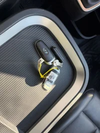 Hyundai Staria 130kW thumbnail