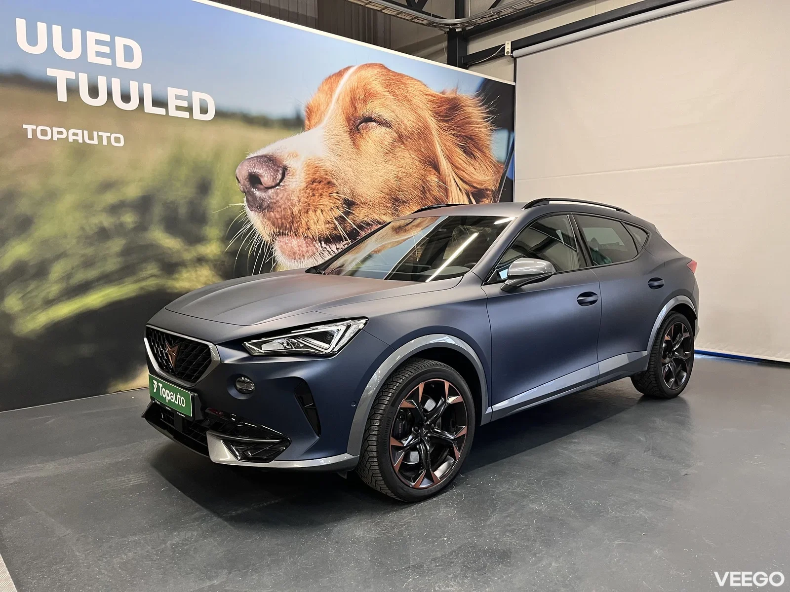 Cupra Formentor 2 228kW