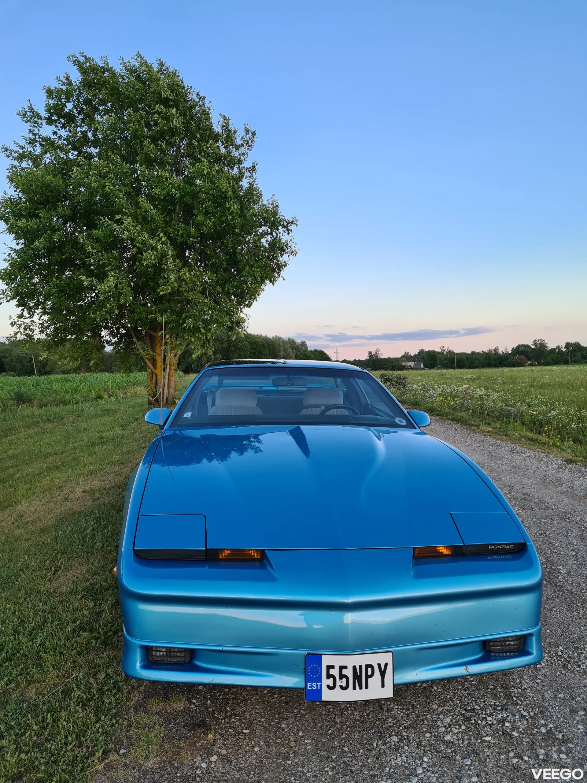 Pontiac FIREBIRD FORMULA 5.7 170kW