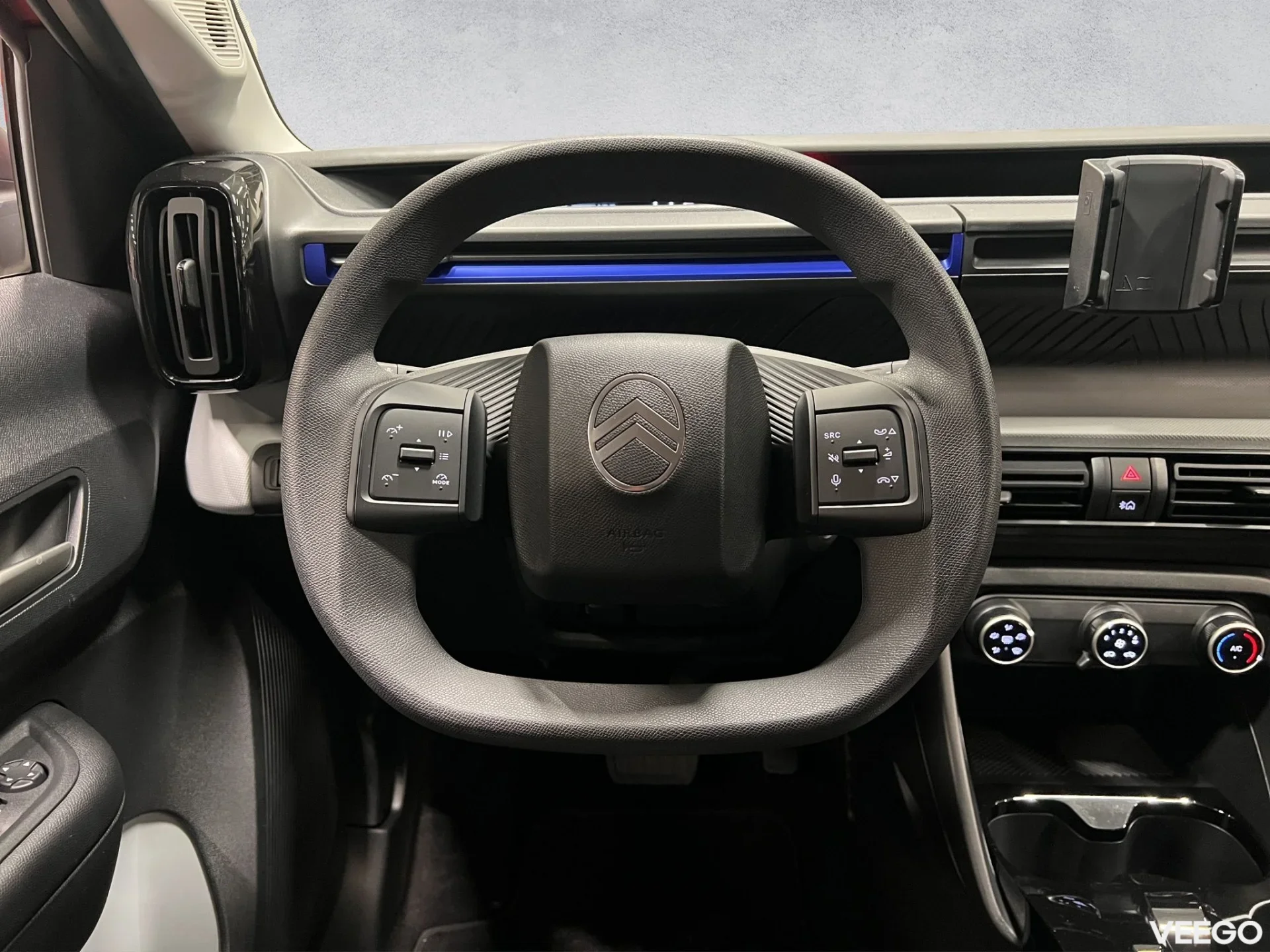 Citroen C3 C3 YOU ELECTRIC 113