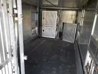 MAN TGX 397kW thumbnail