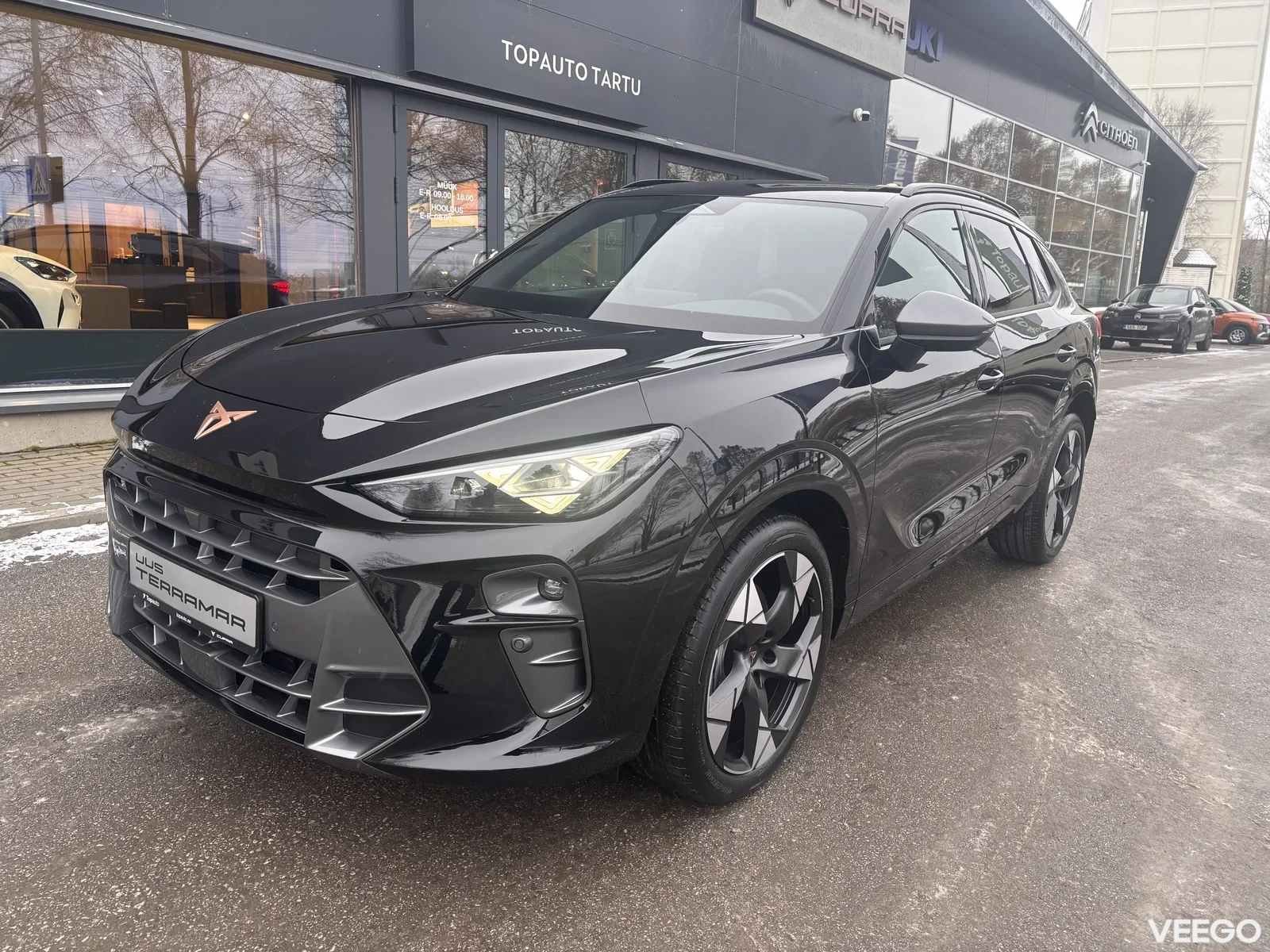 Cupra Terramar 2 150kW