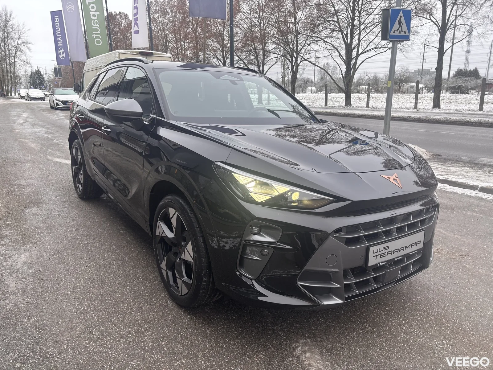 Cupra Terramar 2 150kW