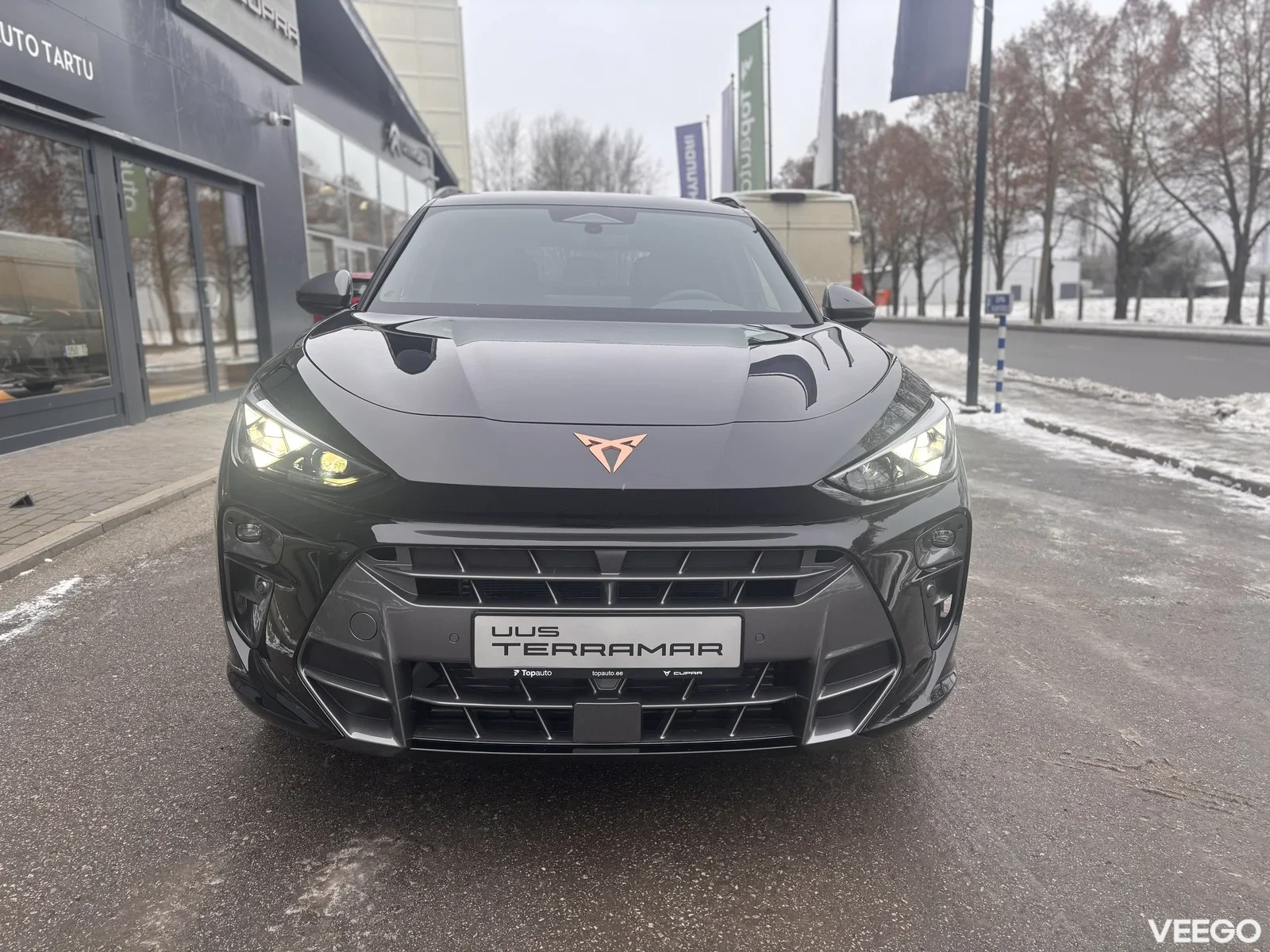 Cupra Terramar 2 150kW