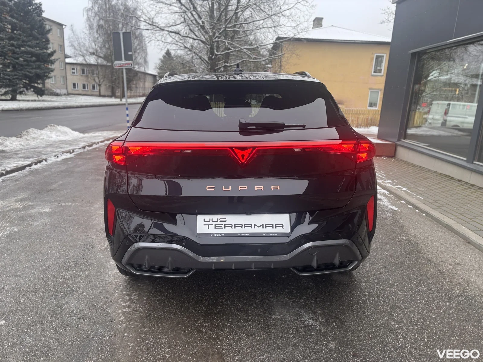 Cupra Terramar 2 150kW