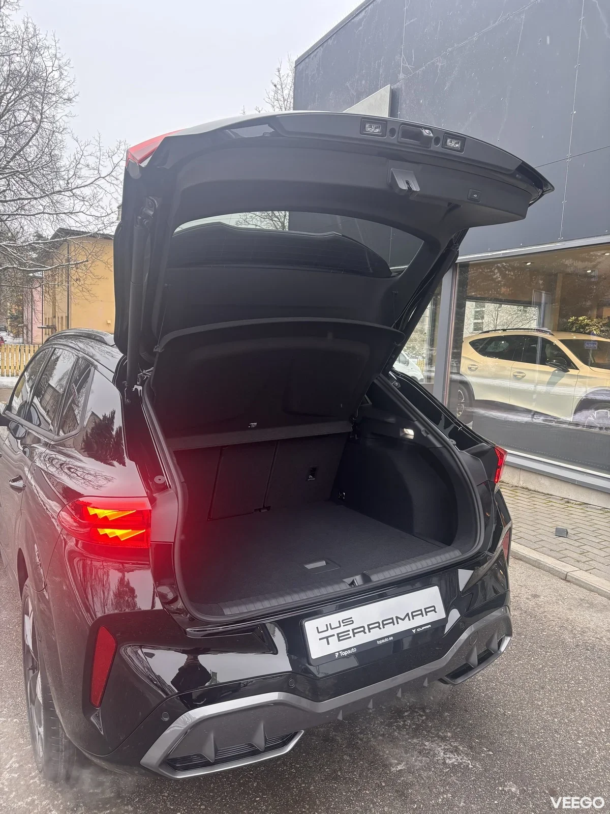 Cupra Terramar 2 150kW