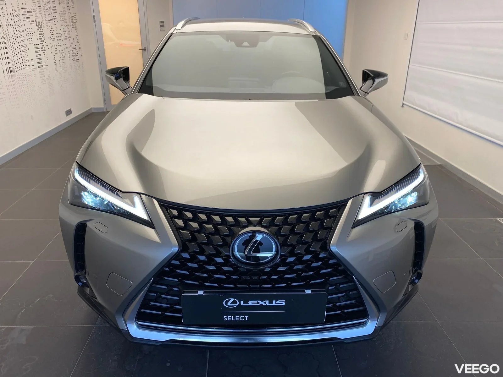Lexus UX 250h - 132kW