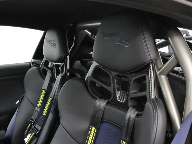 Image of Porsche 718 Cayman GT4 RS 368kW