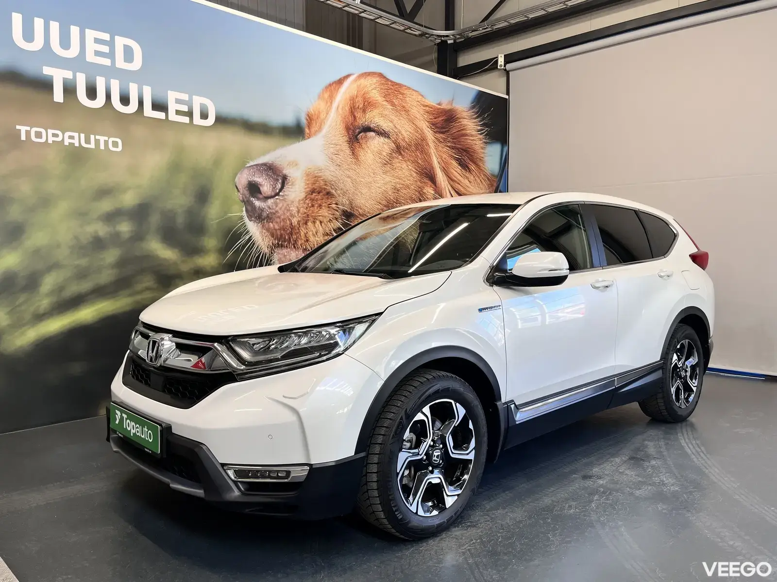 Vehicle Image