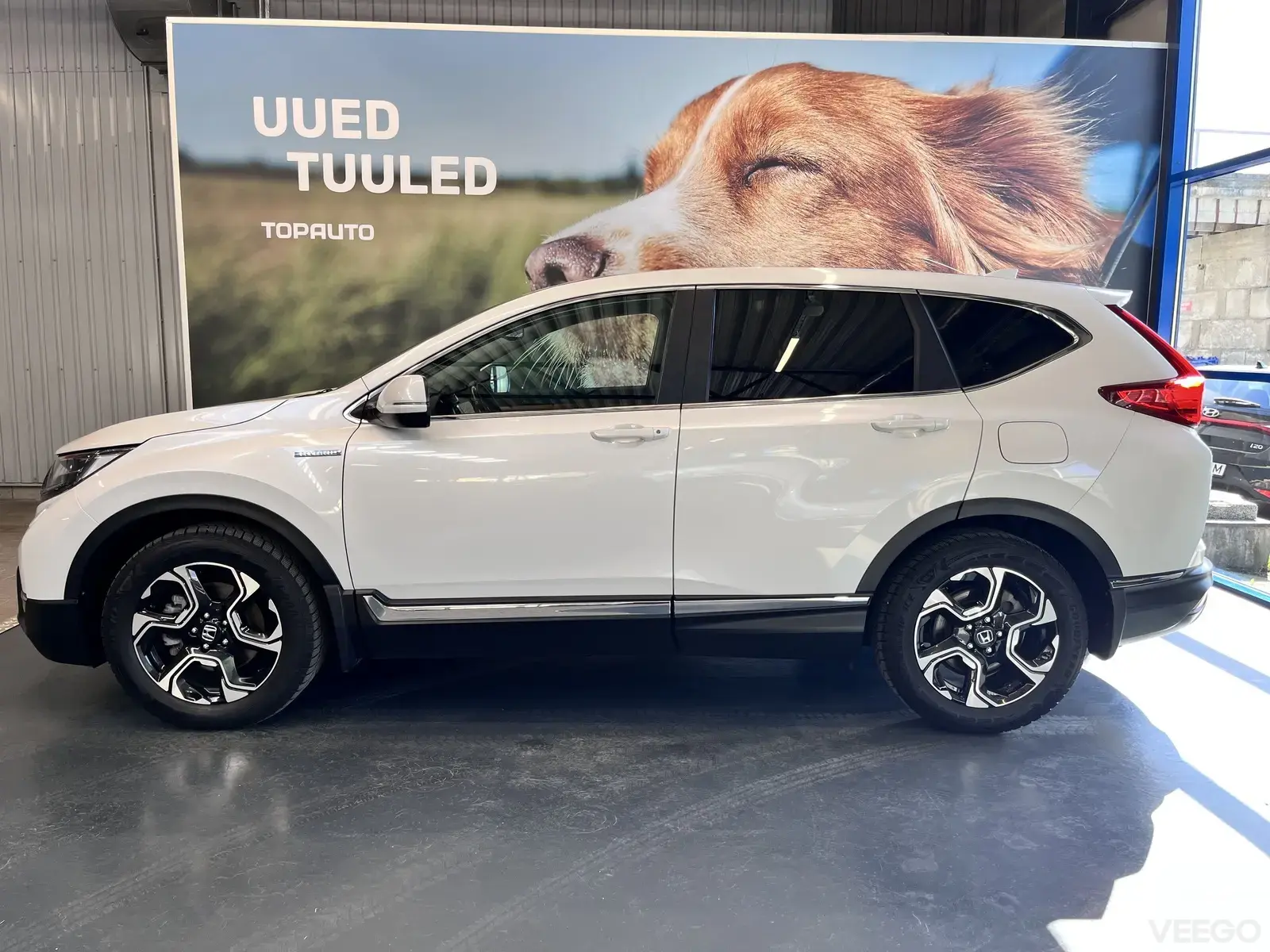 Vehicle Image