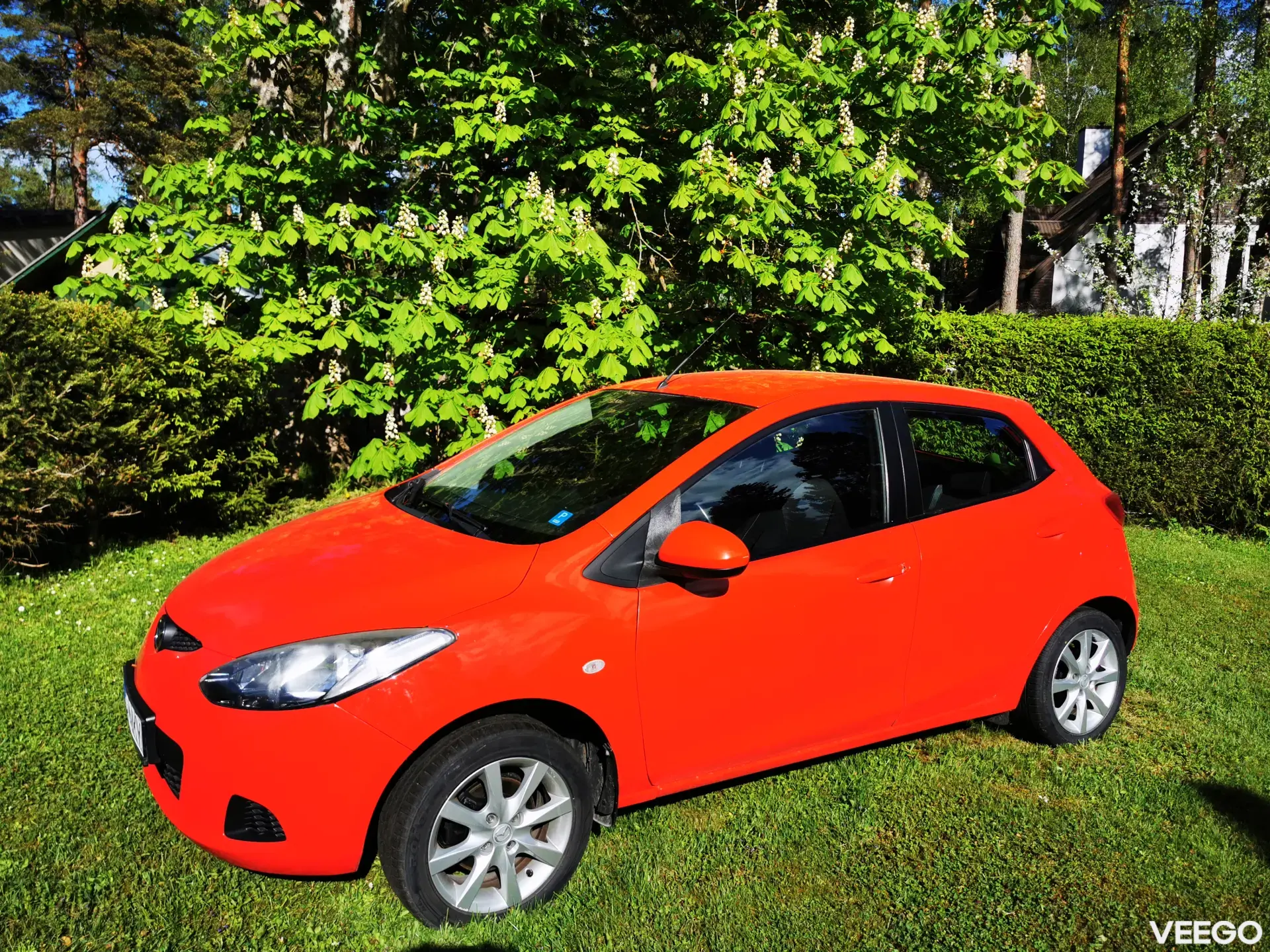 Vehicle Image