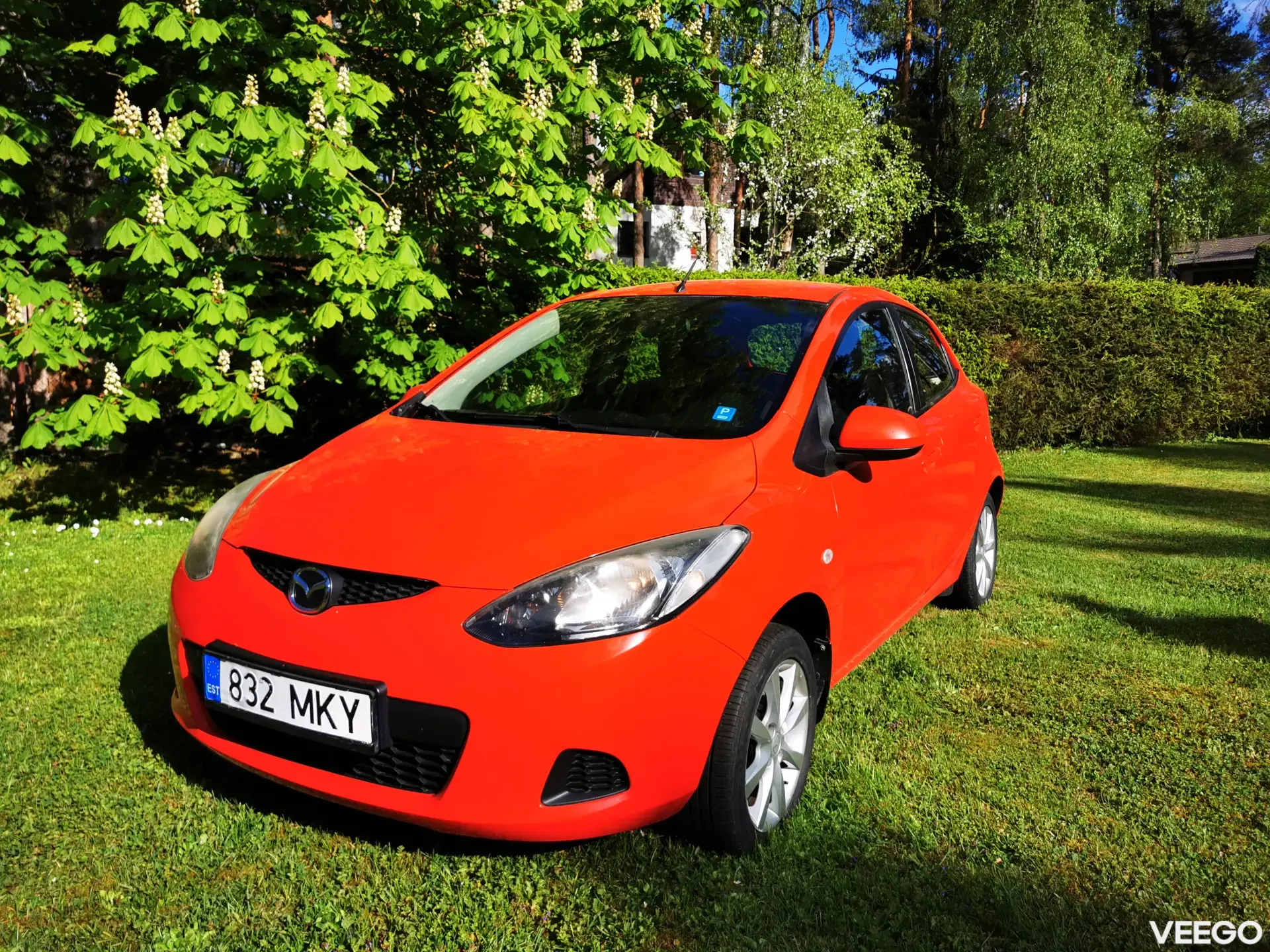Vehicle Image